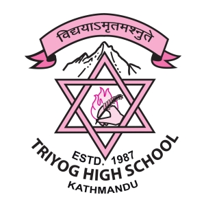Triyog High School