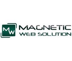 Magnetic Web Solution