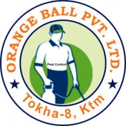 Orange Ball Private Limited