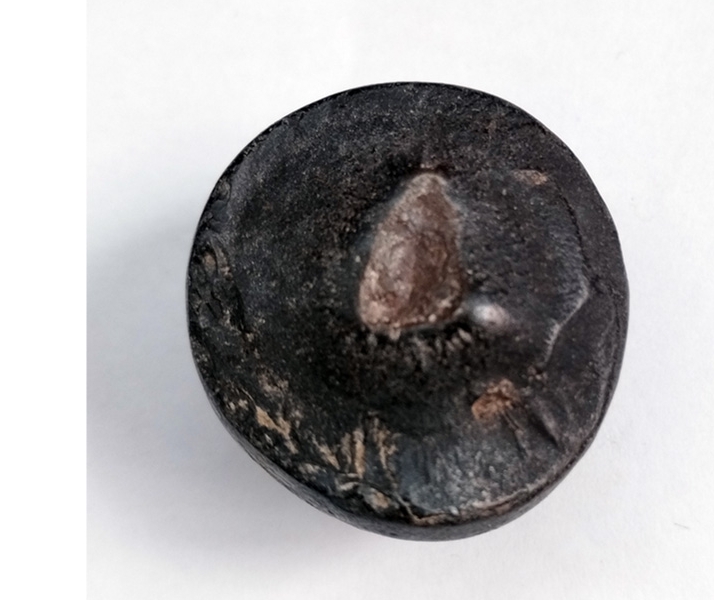 Authentic Shaligram Stone