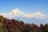 Enjoy Nepal Treks Expedition & Tours P.ltd